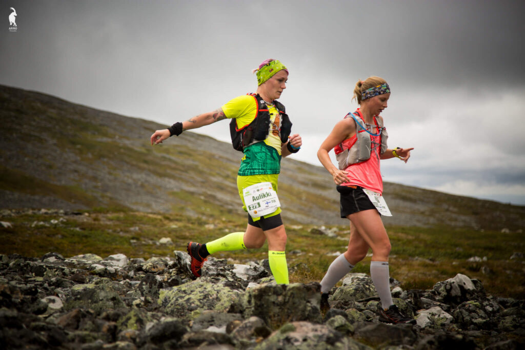 NUTS Ylläs Pallas 2017