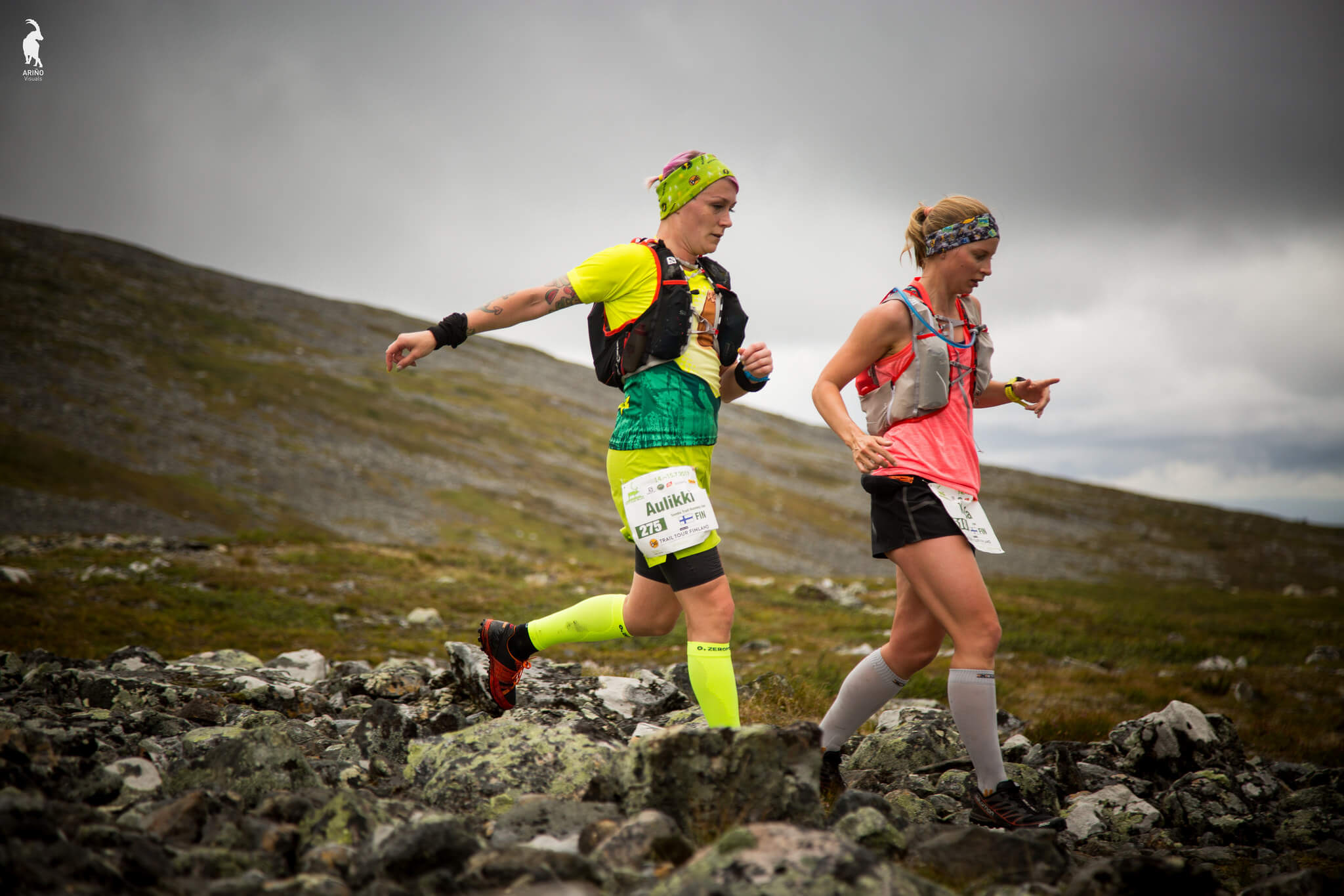 NUTS Ylläs Pallas 2017